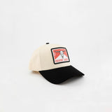 Two-Tone Skull Hat
